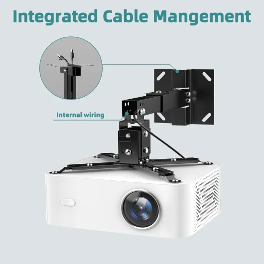 61v1kmFWOVL._AC_SL1500_