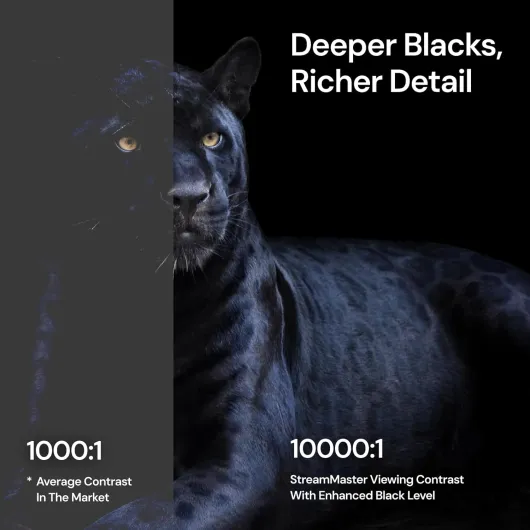 61mg2I2UbGL._AC_SL1500_