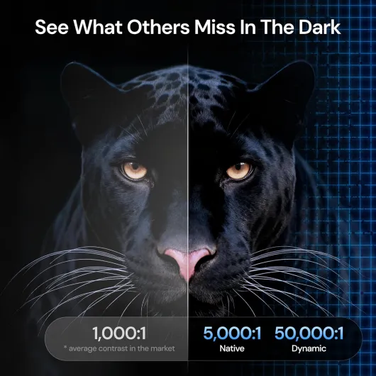 81ZWpXlaDcL._AC_SL1500_