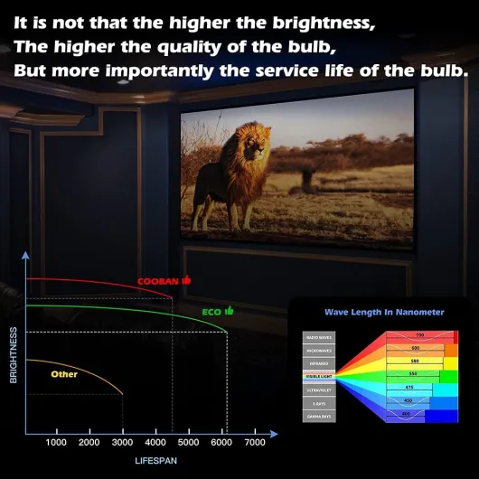 61WxN 0tfCL._AC_SL1000_