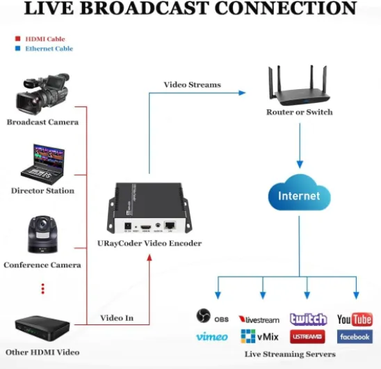 61LbsLe1hbL._AC_SL1000_