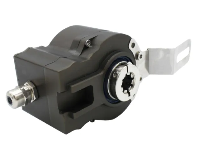 61Tx7K5eudL._SL1500_