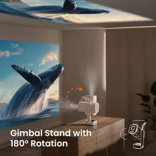 71CLA006oNL._AC_SL1500_