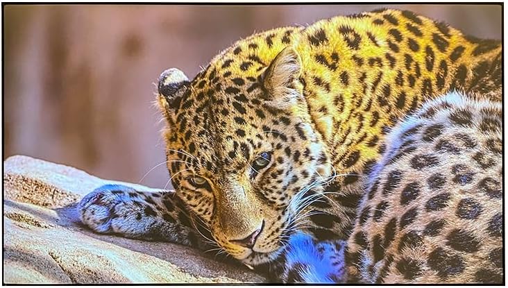 ALR Screen for UST Projector, 120 inch ALR Fixed Frame Projector Screen Wall Mount 16:9 8K/4K 3D, Grey Projection Screen, 0.39 inch Ultra-Narrow Bezel for Movies and Games