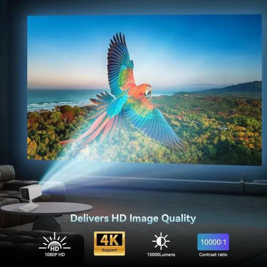 81BrWV-HHxL._AC_SL1500_