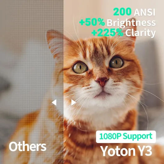 81tAEDnVHaL._AC_SL1500_