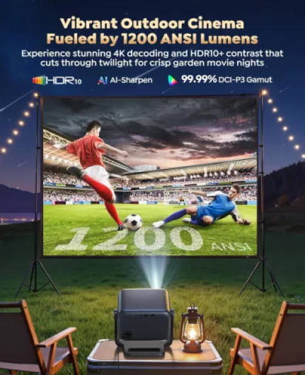 81eFOvCAXqL._AC_SL1500_